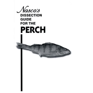 Perch Dissection Guide