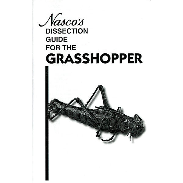Grasshopper Dissection Guide