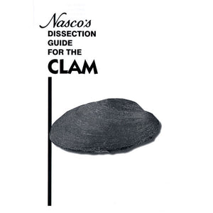 Clam Dissection Guide