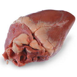 Heart, Sheep Organ, plain