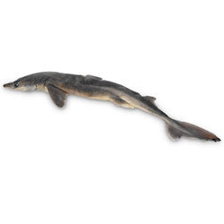 Dogfish Shark, 18-22", plain