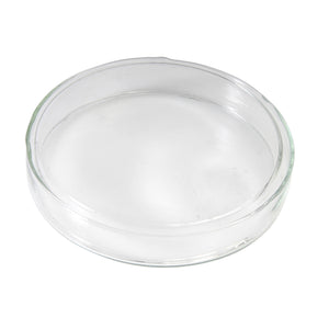 Petri Dish, 100mm dia., glass