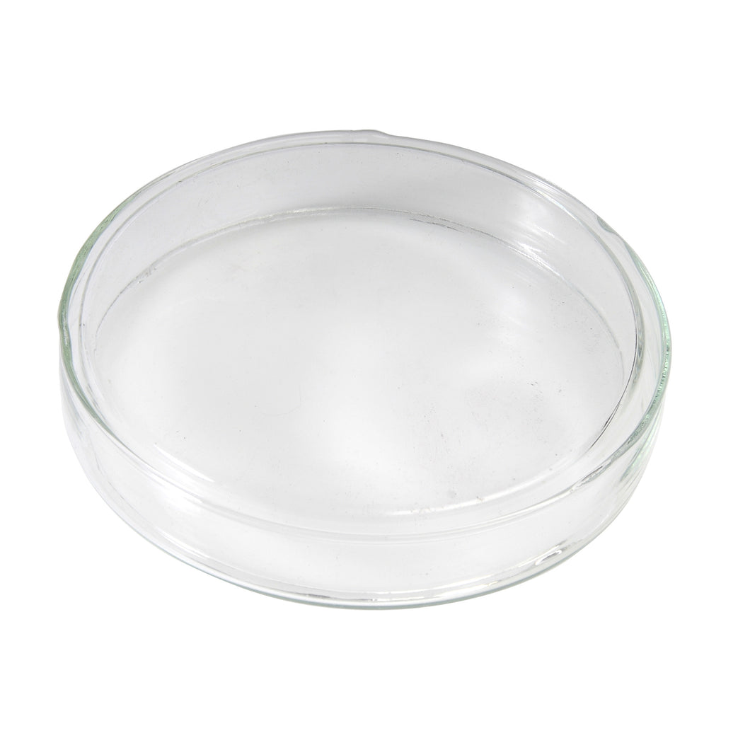 Petri Dish, 100mm dia., glass