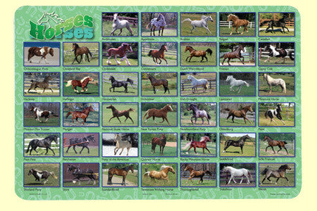 Horses