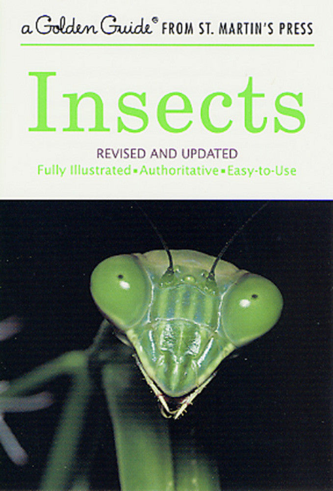 Insects Golden Guide