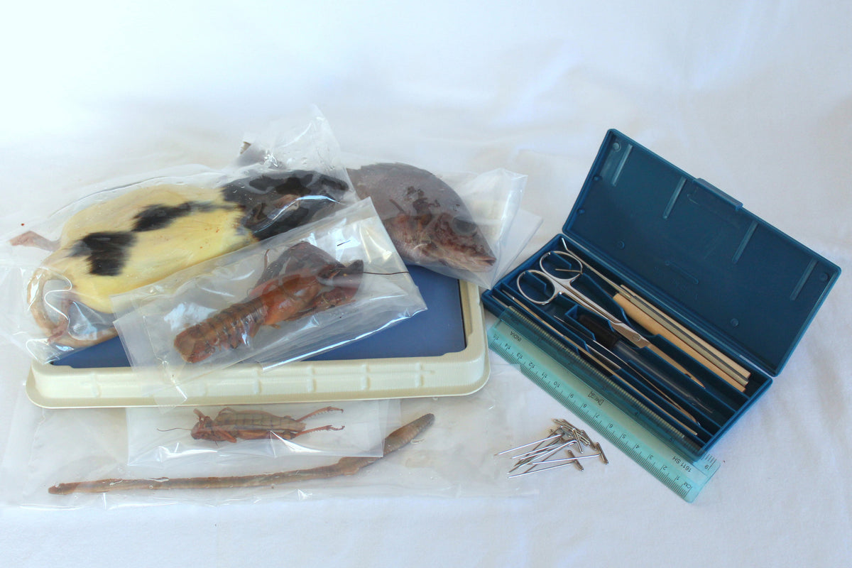 Bob Jones Biology Dissection Kit Home Educational Resources