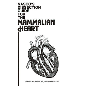 Mammal Heart Dissection Guide