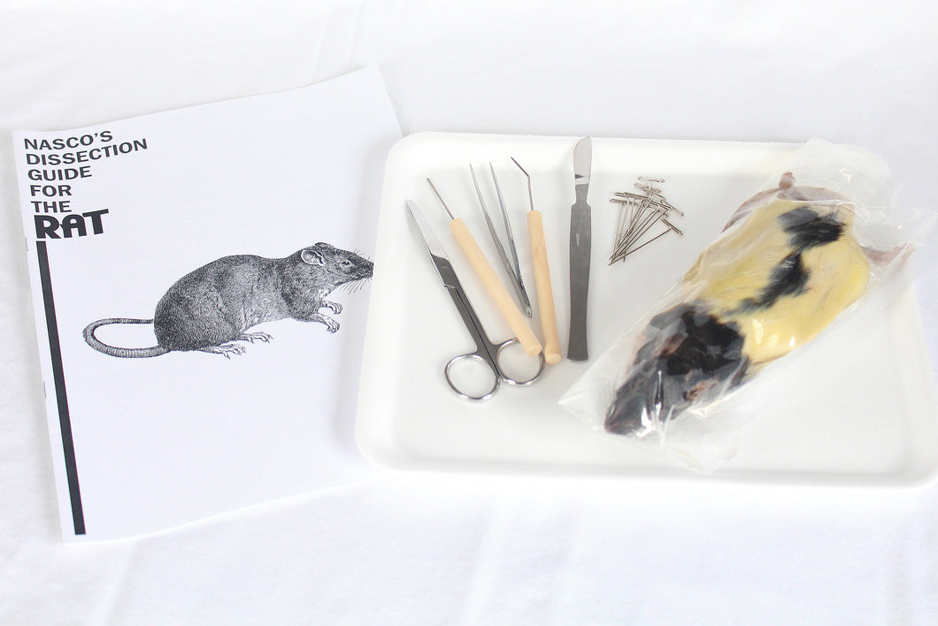 Rat Dissection Kit