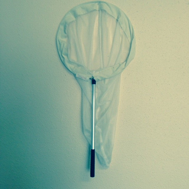 Student Insect Net – Home Educational Resources