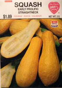 Seeds, squash